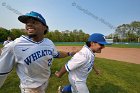 Baseball vs Babson  Wheaton College Baseball players celebrate their victory over Babson to win the NEWMAC Championship for the third year in a row. - (Photo by Keith Nordstrom) : Wheaton, baseball, NEWMAC